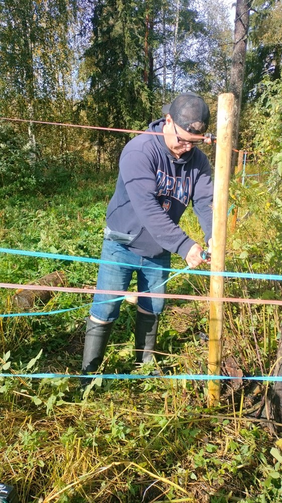 Jani-Petteri Aalto, Huoltoasentaja
